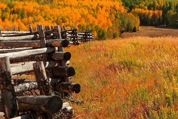 pagetop-San-Juan - Meurer & Potter, P.C. Trust as IRA Beneficiary: Colorado Guide | Meurer & Potter